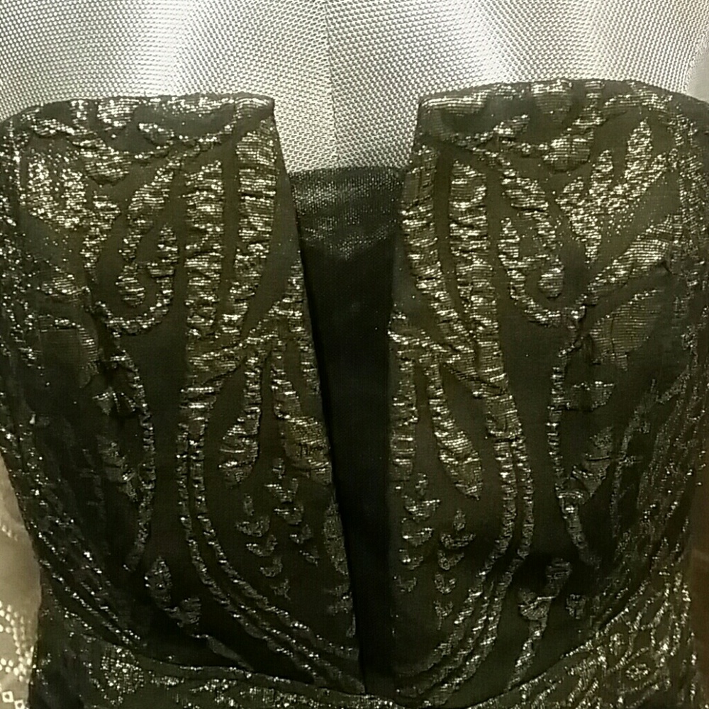 Express Dress - Picture 5 of 8